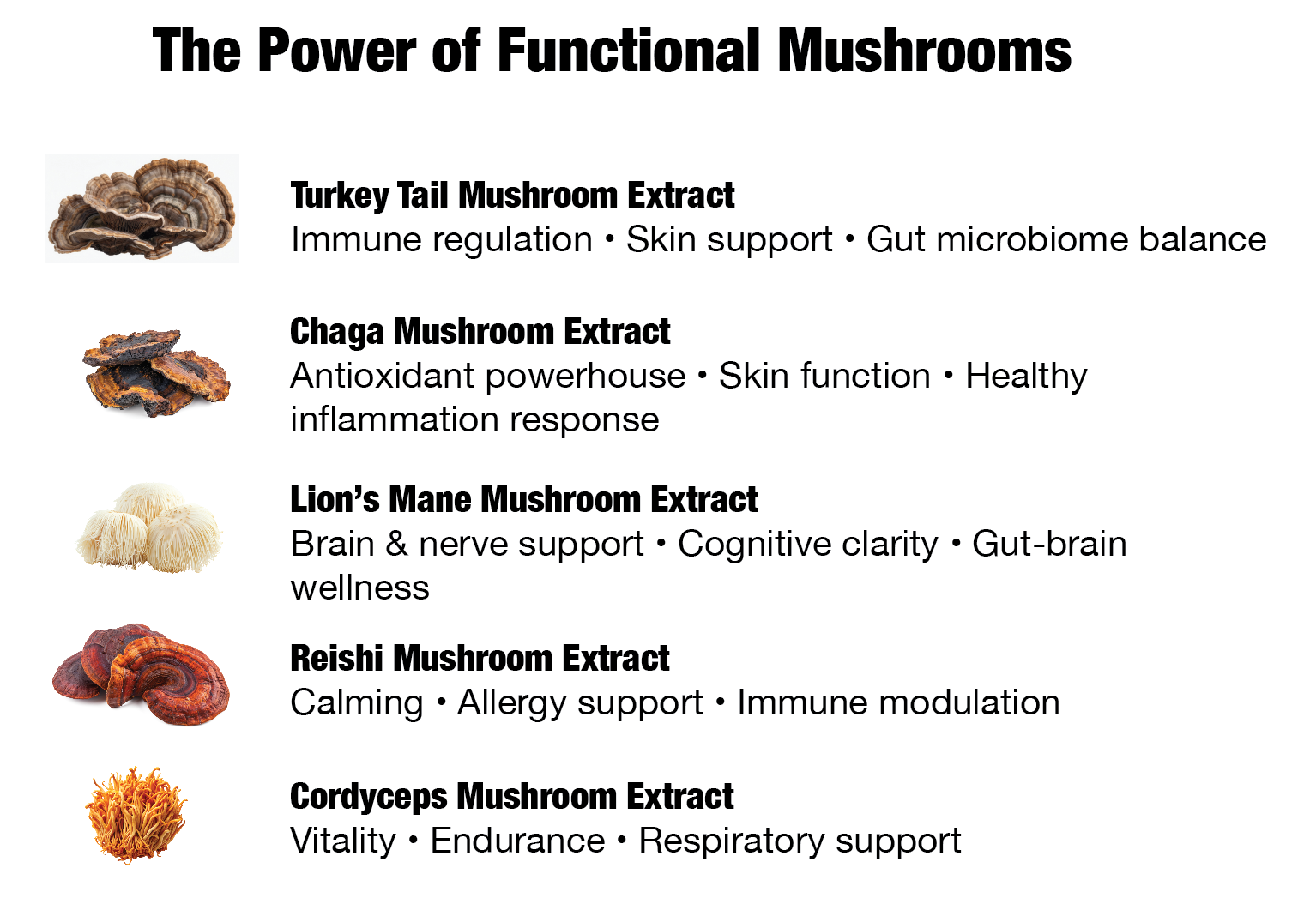 Nature's Guardian - Premium Mushroom & Herb Blend