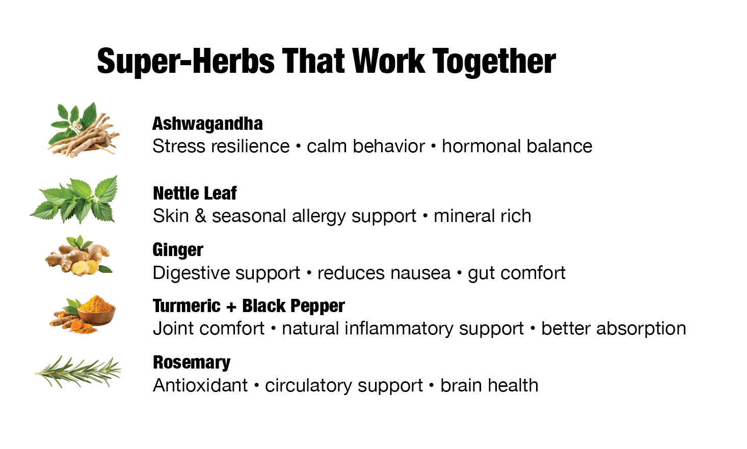 Nature's Guardian - Premium Mushroom & Herb Blend